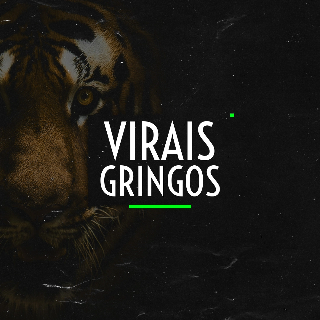 12-virais-gringos-copiar.webp